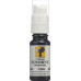 ODINELIXIR spray Sunshine Blüteness Fertigm 10 ml