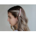  French hair clip  