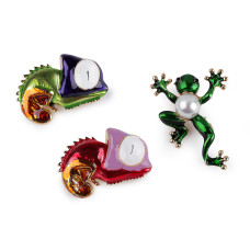   Brooch - frog, chameleon  