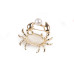   Brooch bee, crab, fox, ladybug  