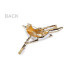   Bird brooch  